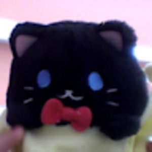 Meet your Posher, Logan